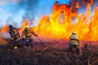 Степной пожар в Казахстане набирает силу