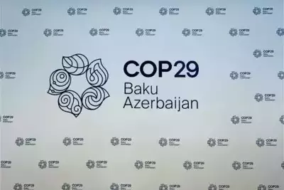 На COP-29 представят опыт российского неправительственного сектора по климатической адаптации