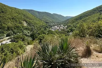 Самым популярным регионом для глэмпинга стала Кубань