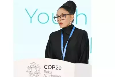 Мехрибан Алиева: COP29 — не арена для политических нападок