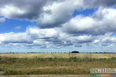 Ставропольским аграриям вернули захваченные пахотные земли