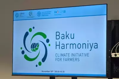 На COP29 представлена климатическая инициатива Baku Harmoniya