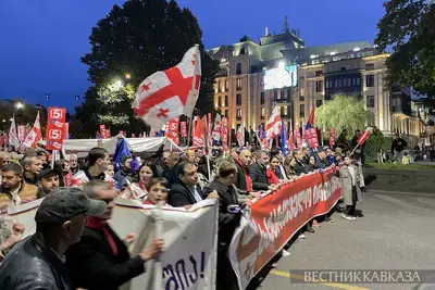 Участники митинга вернулись на прежнее место протеста в Тбилиси