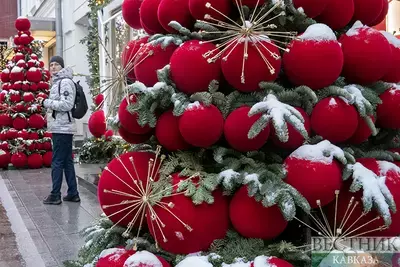 Новогодние елки в Краснодаре защитят от вандалов