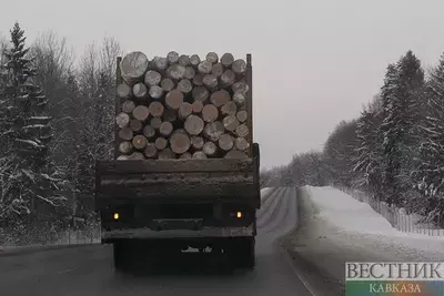 Ведущую к границе с Арменией дорогу открыли после снегопада в Грузии