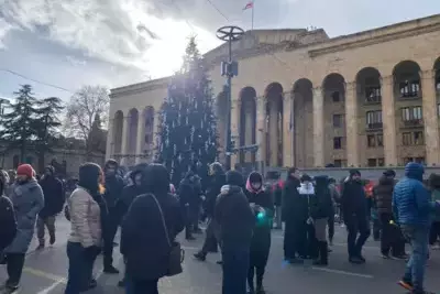 Дату зажжения елки в Тбилиси назовут в ближайшее время