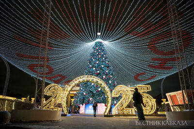 Новогодние украшения Парка Горького