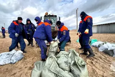 С пляжей Кубани убрали более 3 тыс тонн загрязненного грунта