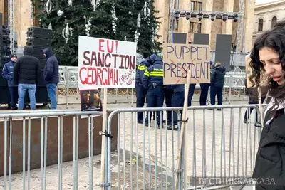 Зурабишвили дала Иванишвили 7 дней на организацию новых парламентских выборов