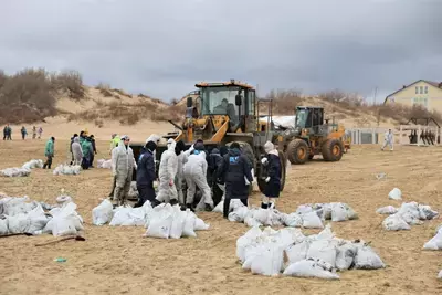 Когда пляжи Анапы избавятся от мазута?