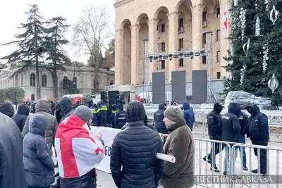 Оппозиция против инаугурации президента Грузии – будет ли &quot;свергнут режим&quot;?