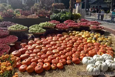 Традиционная ярмарка порадует Ставрополь