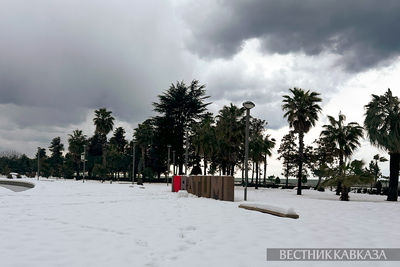 Снег в Батуми