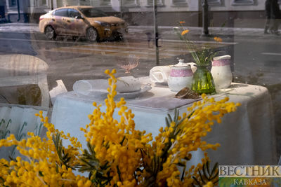 Витрина магазина