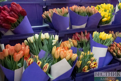 Продажа цветов