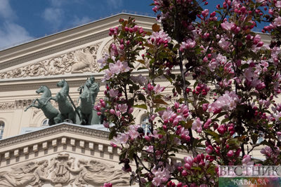 Цветение сирени