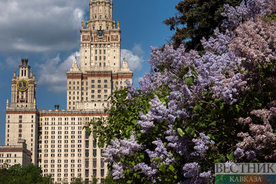 Цветение сирени у здания МГУ