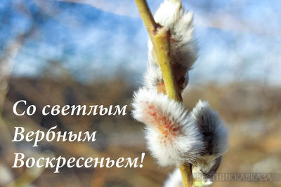 Открытка с Вербным воскресеньем
