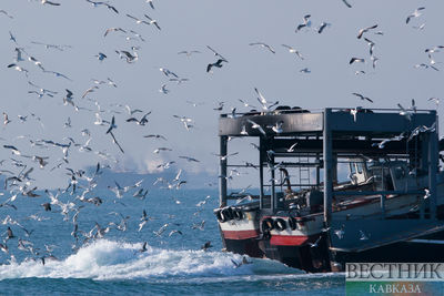 Рыболовный траулер