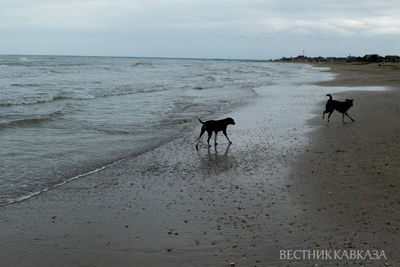 Пляж в Дербенте