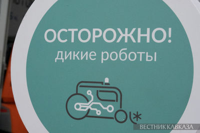 Знак Осторожно дикие роботы