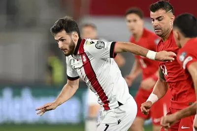 матч сборных Грузии и Турции по футболу