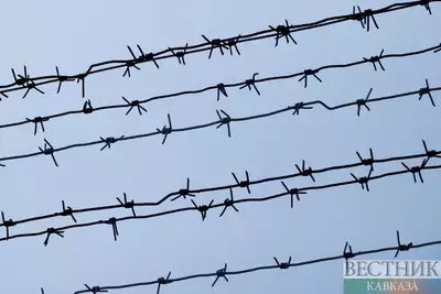 Колючая проволока