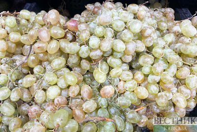 Виноград белый