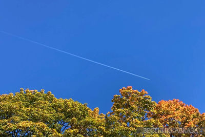 Самолет в небе