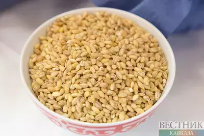 Власти Армении проверили качество пшеницы из России и Казахстана