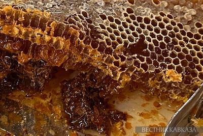 Мёд в сотах