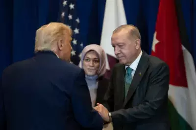 Реджеп Тайип Эрдоган на встрече с Дональдом Трампом