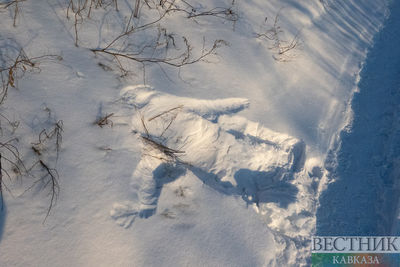 След на снегу