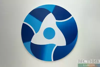 Галузин: у Армении нет альтернативы "Росатому"