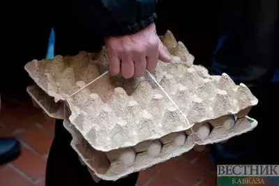 В Грузии заявили о риске подорожания яиц из-за запрета пластика