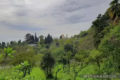 Заповедников в Абхазии может стать больше