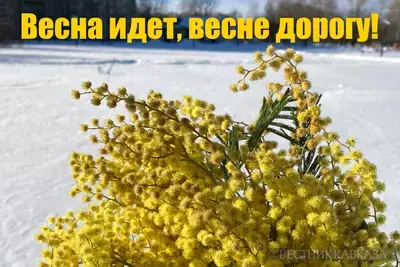 Открытка с началом весны