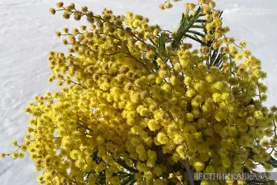 8 марта: от революционной борьбы к празднику весны и цветов