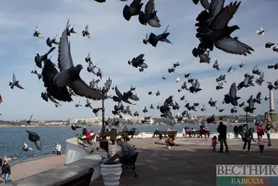 Спрос на летний отдых в Крыму вырос вдвое