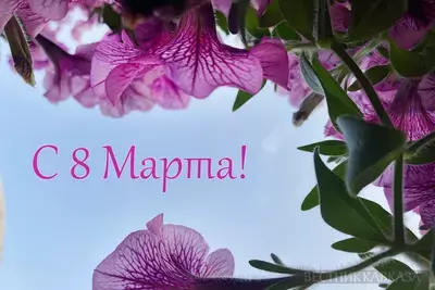 С 8 марта: поздравления, красивые открытки, подарки, история праздника