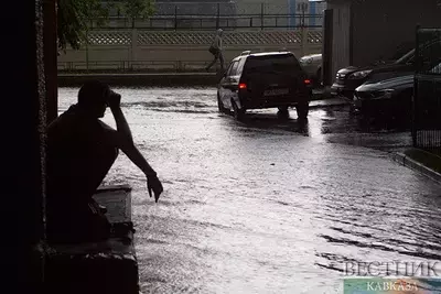 Кислотные дожди: что это такое, как возникают и чем они опасны?