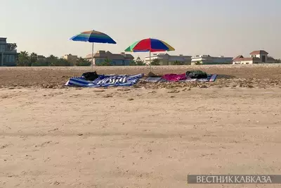 Джузгун в пустыне