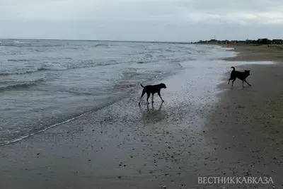 Пляж в Дербенте