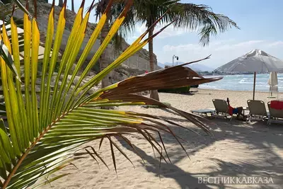 Лежаки на пляже