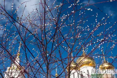 Вербная неделя 2026: когда, что можно и нельзя, важные праздники