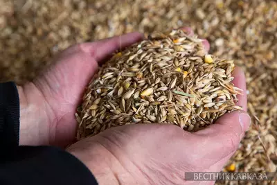 Россия поставила 23,5 тыс т зерна Армении через Азербайджан