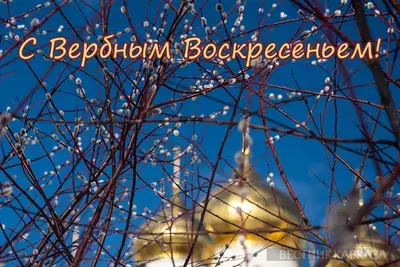 Вербное воскресенье 2026: красивые открытки и поздравления, когда, суть праздника