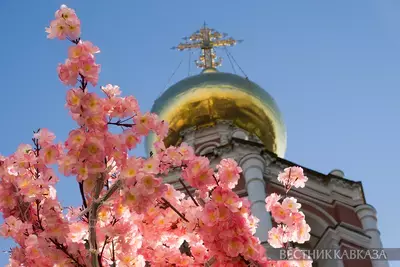 Высоко-Петровский монастырь