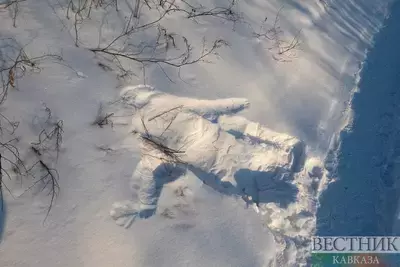 След на снегу