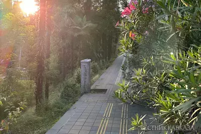 Сочинский дендрарий